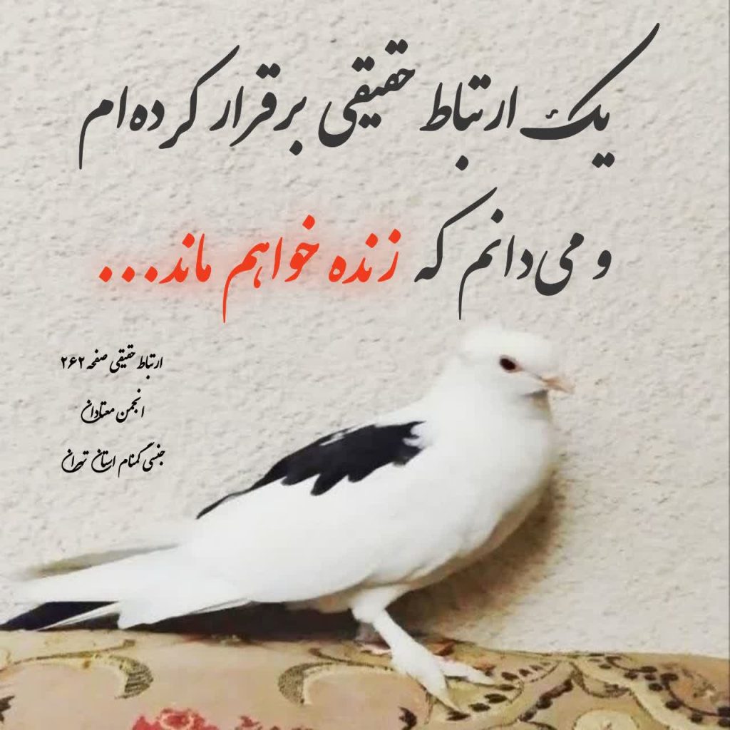 پیوند حقیقی؛ اطمینان به زندگی